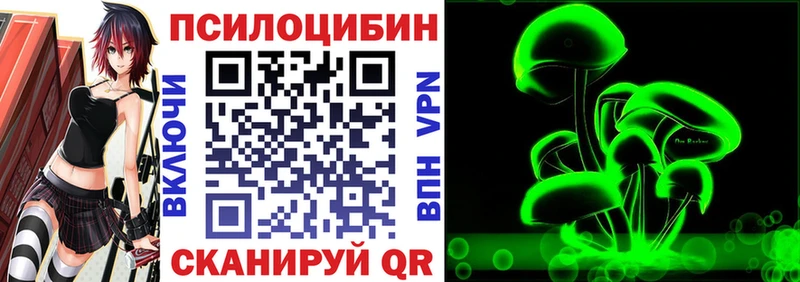 Купить Олонец Галлюциногенные грибы Cubensis